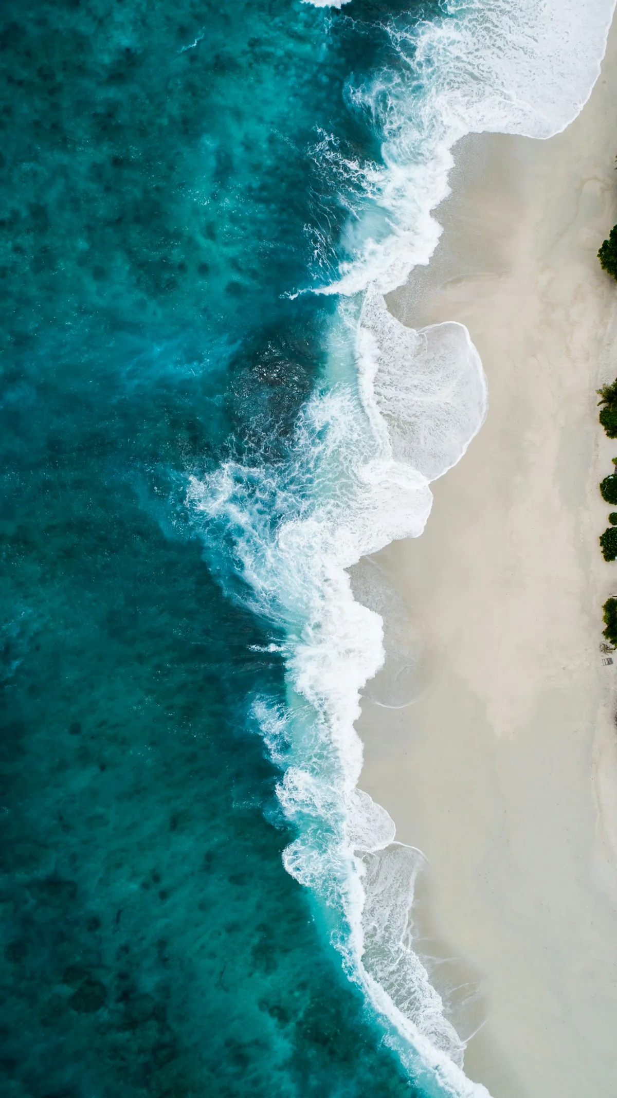 Open ocean at sunrise representing unexplored market space